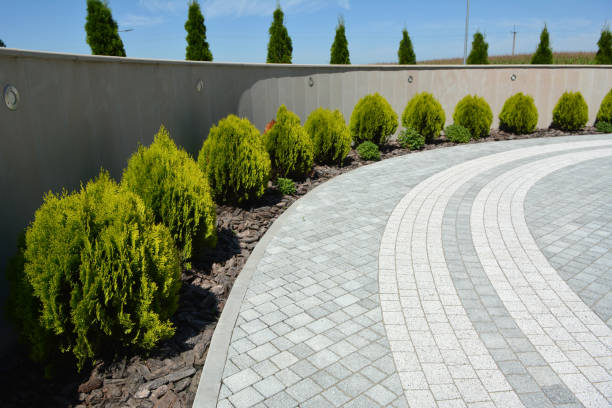 Best Concrete Paver Driveway  in Marion, SC